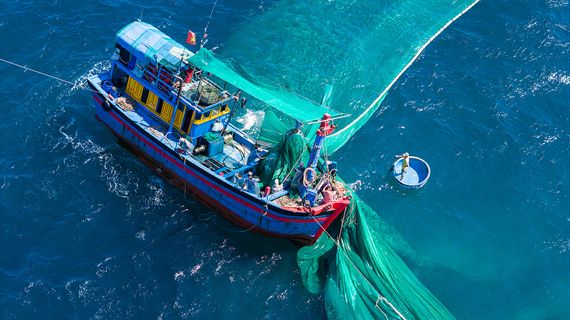 Producto de seguro marítimo de mercancías.